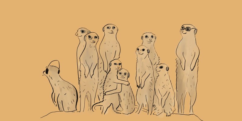 Сурикаты рисунок