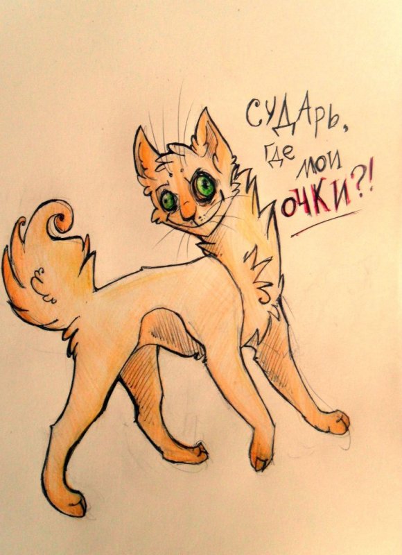 Рисунки котов