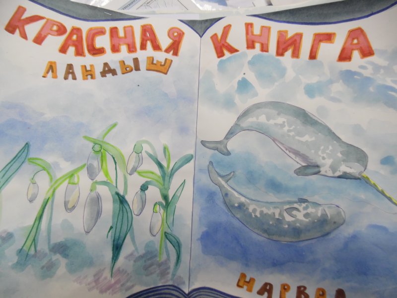 Красная книга глазами детей конкурс рисунков