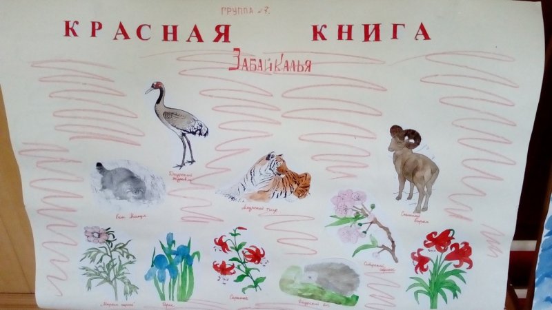 Защита животных красной книги