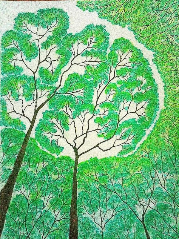 рисунки лес