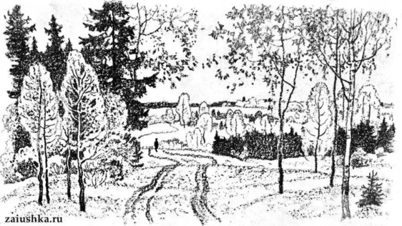 Лес рисунок