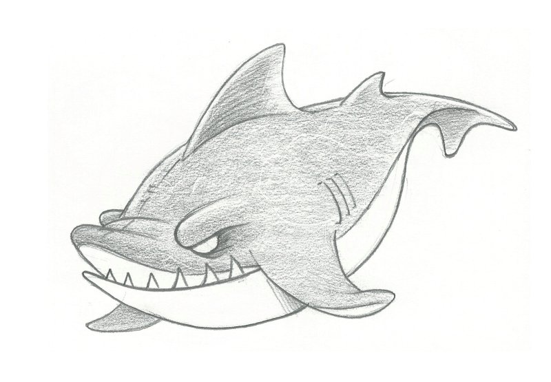 легкий рисунок акулы