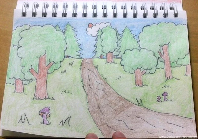 Рисунки леса легкие