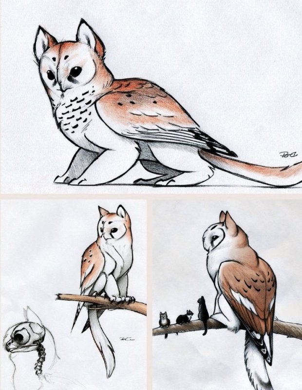 Котосова мифическое существо