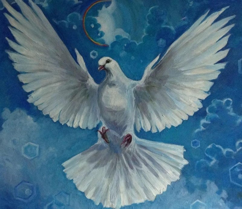 Голубь картина