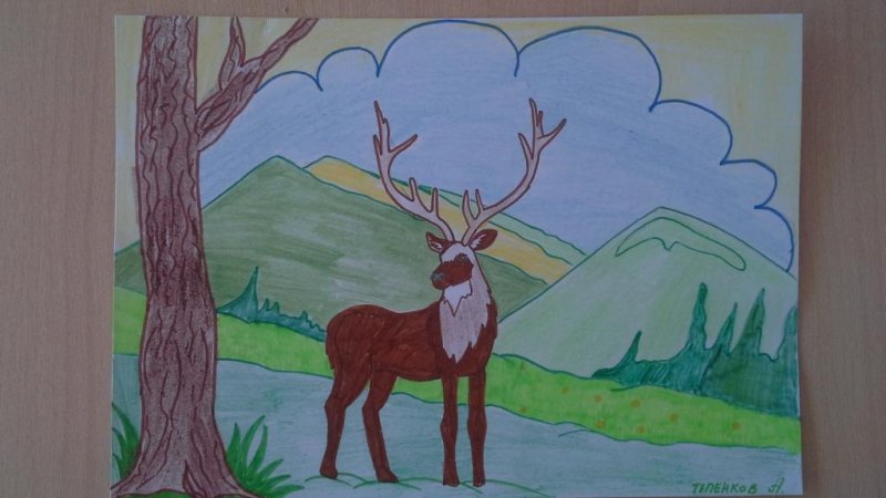 Рисунок на тему природа родного края