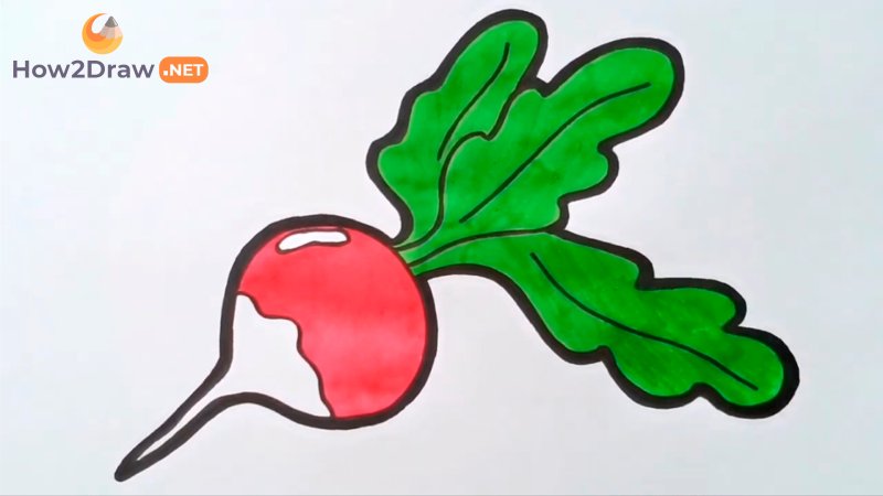 Изображения редиски для детей