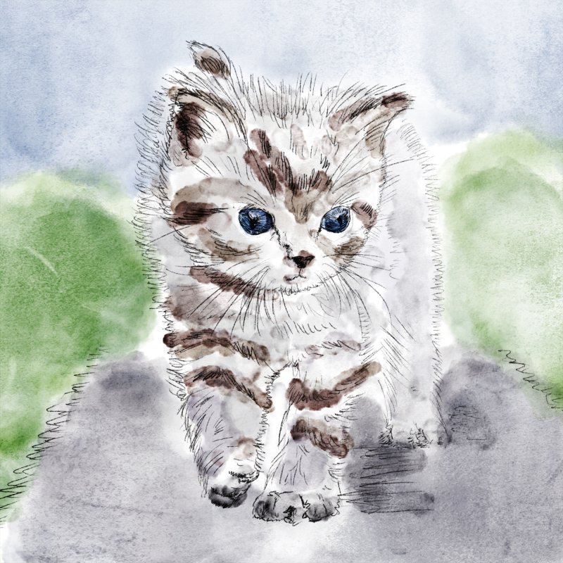 Котенок рисунок