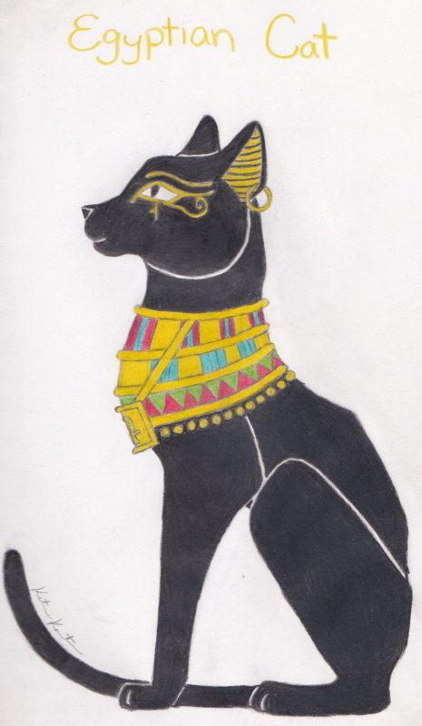 Кошки в Египте