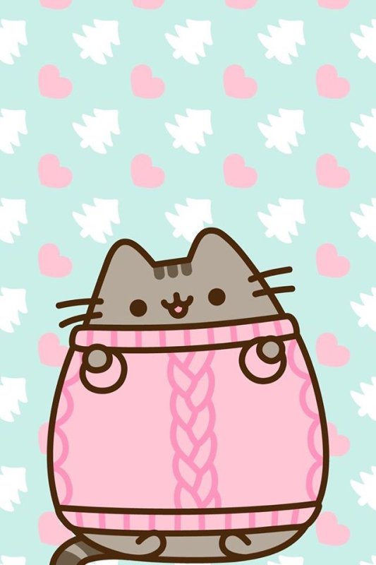 Котик Pushin