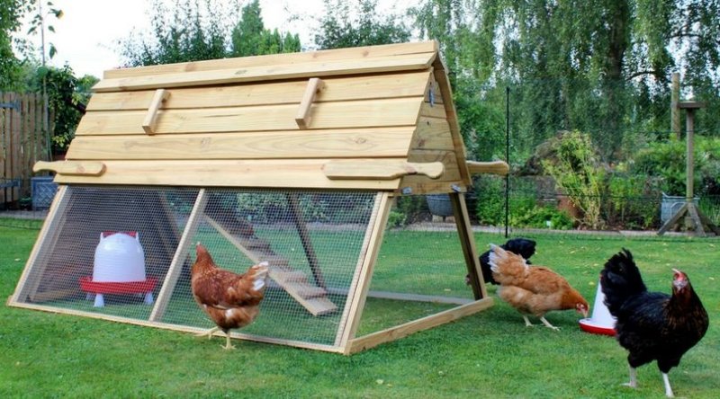 Курятник 5-10 кур несушек