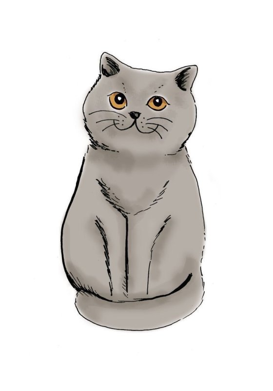 Рисунки уотяков