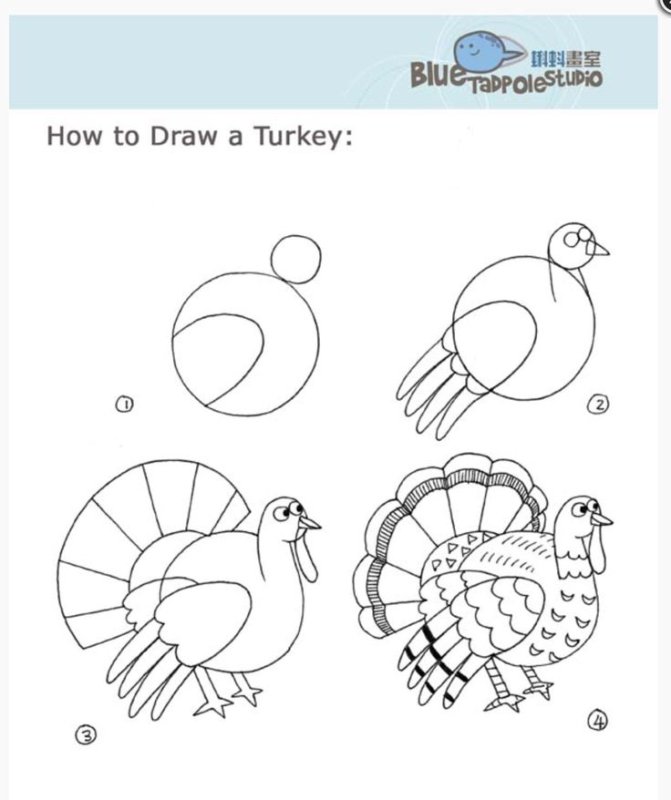 how to draw a turkey