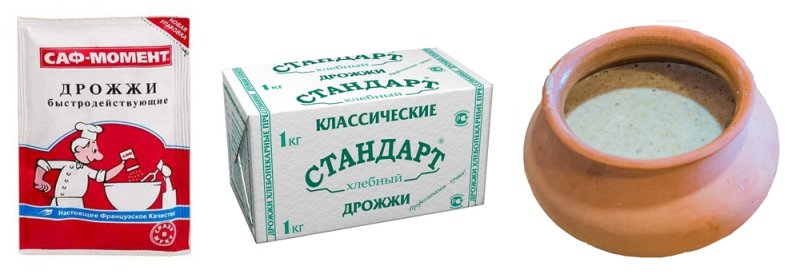 Нарисовать дрожжи для теста