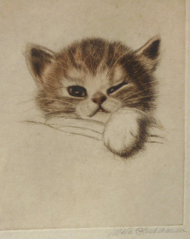 Котенок рисунок