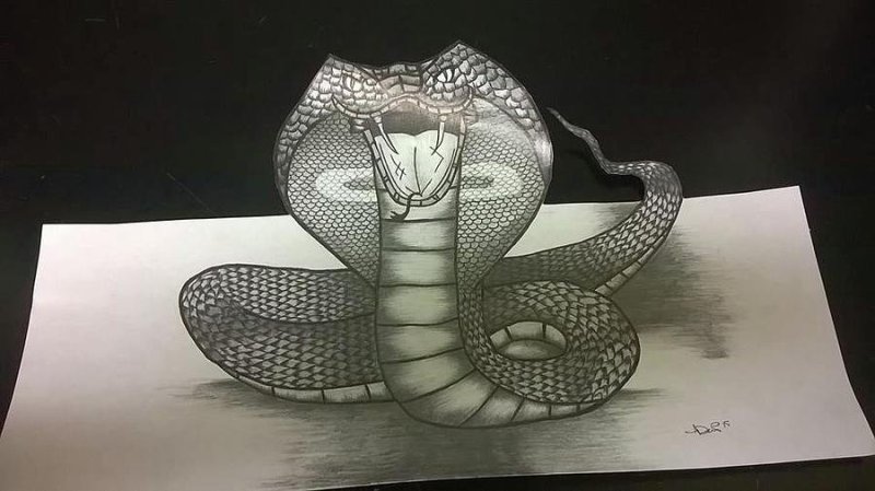 Рисунок змеи