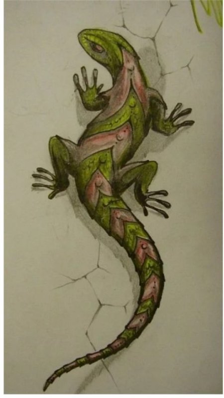 Ящерица эскиз