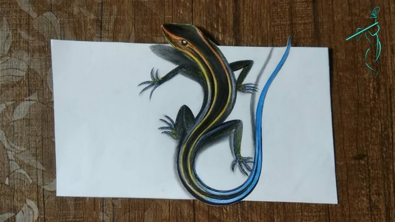 Ящерица карандашом
