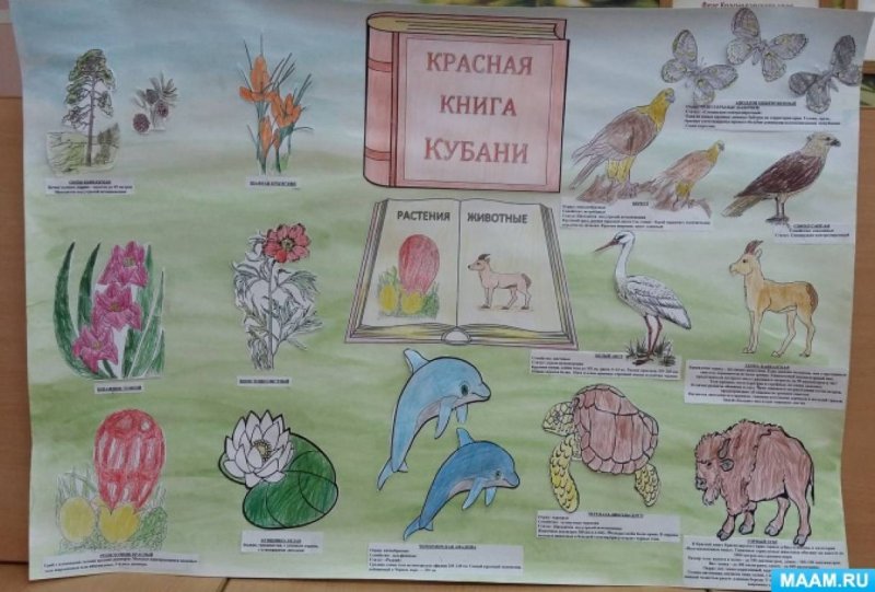 Рисунки на тему красная книга России