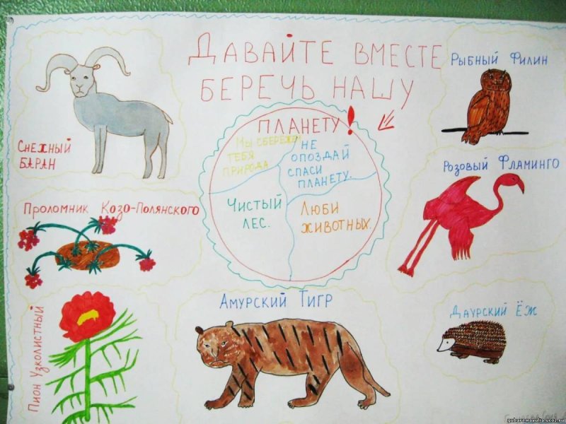 Рисунок на тему красная книга
