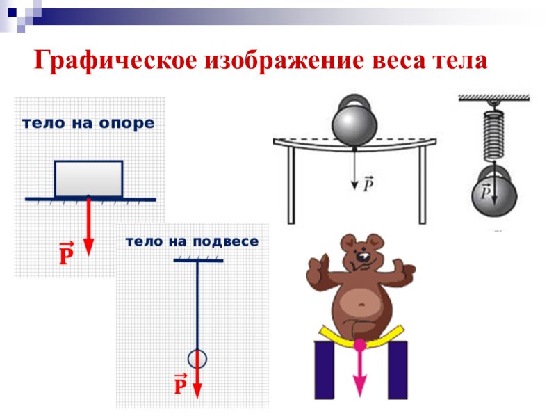 Обозначение веса тела в физике 7 класс