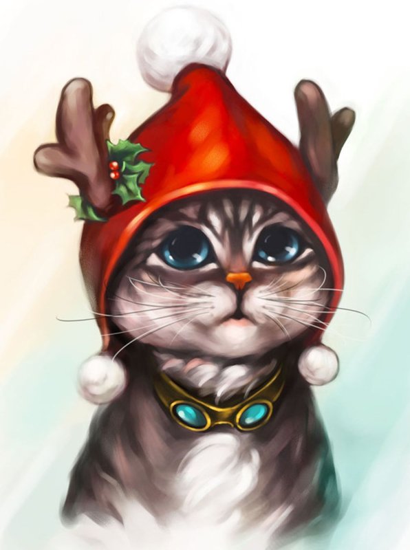 Котик в новогодней шапочке