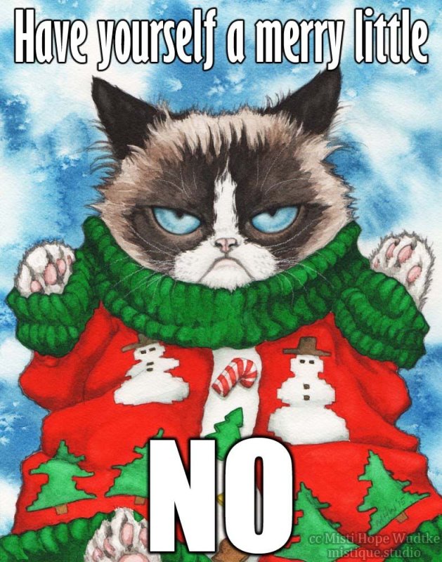 Новогодний котик