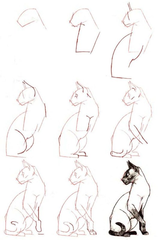 Поэтапные рисунки карандашом