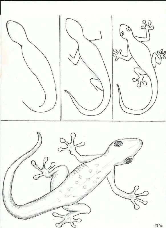 Ящерица для малышей рисование
