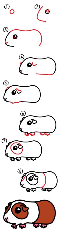Морская Свинка рисунок карандашом