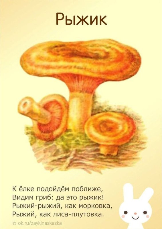 Гриб рисунок