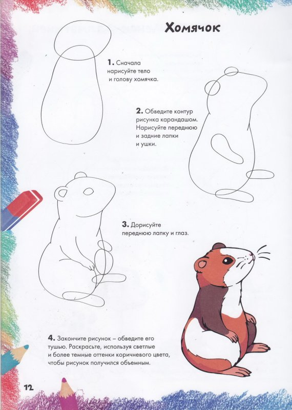 Поэтапное рисование хомяка для детей