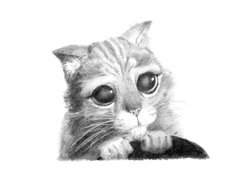 Рисунки карандашом