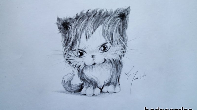 Нарисовать котика