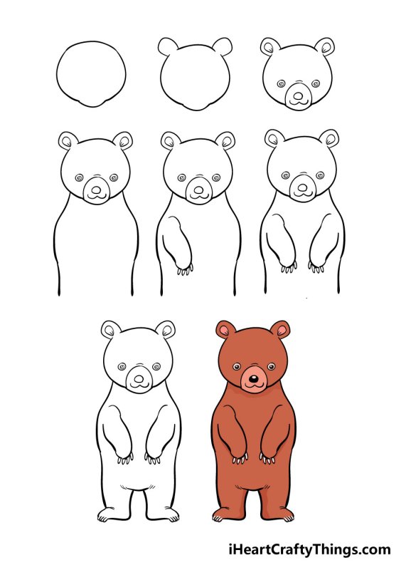 Медведь рисунок карандашом