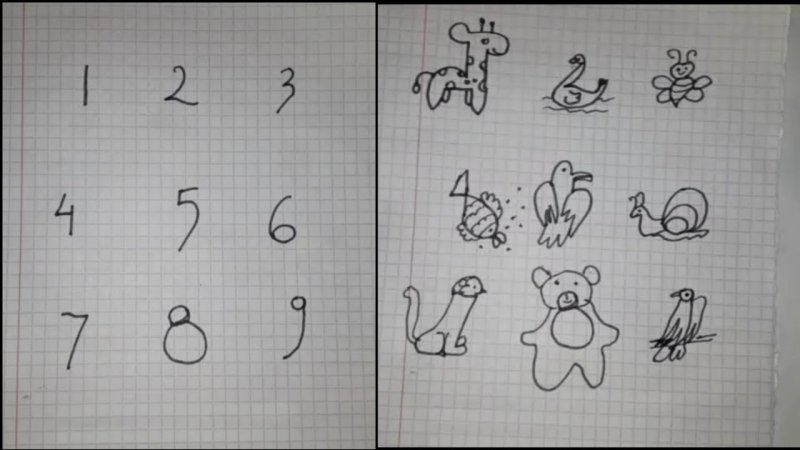 Из цифр