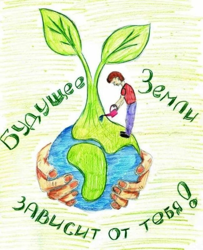 Плакат береги растения