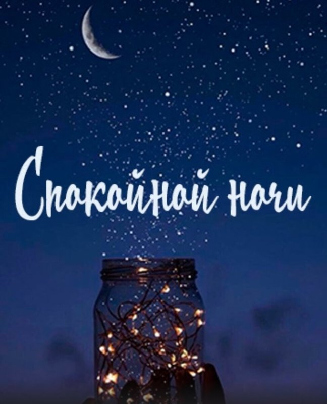 Спокойной нос