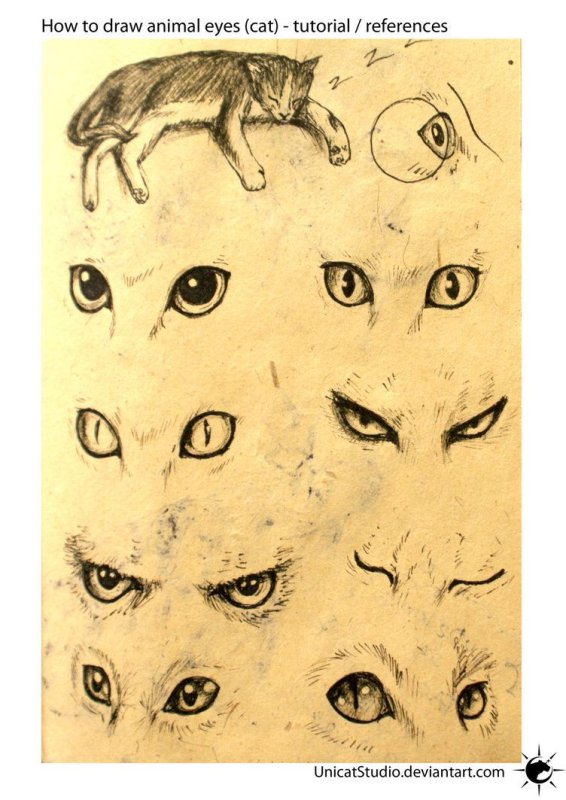 Кошачьи глаза рисунок