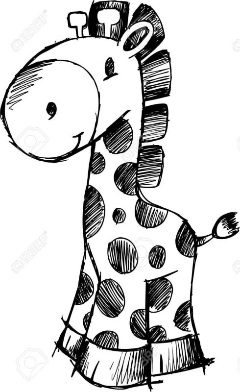 рисунки жираф