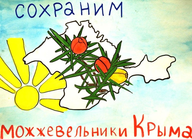 Сохраним можжевельники Крыма