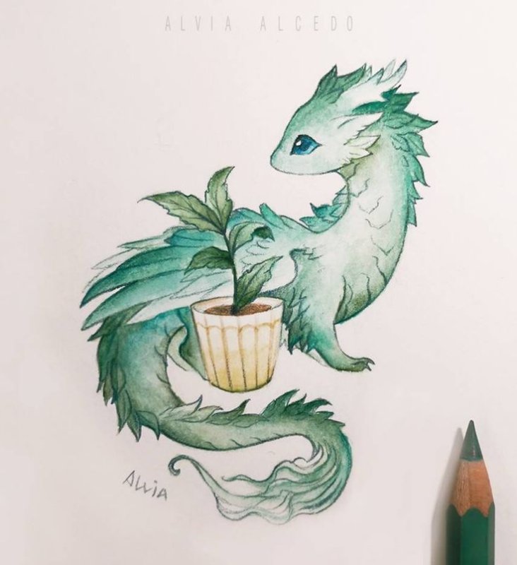 Alvia Alcedo рисунки драконы