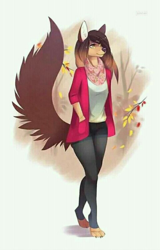 Фурри арты девушки