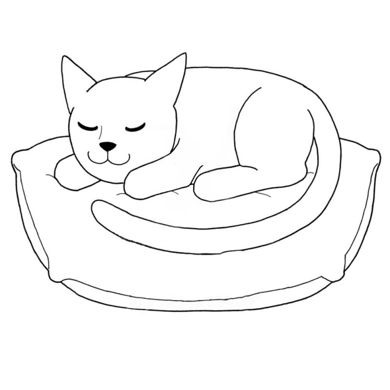 Рисунок кошки для срисовки
