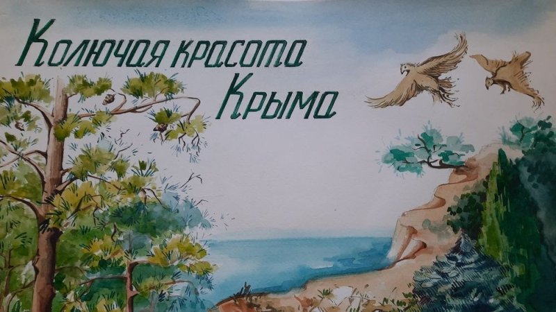 Можжевельник в Крыму конкурс