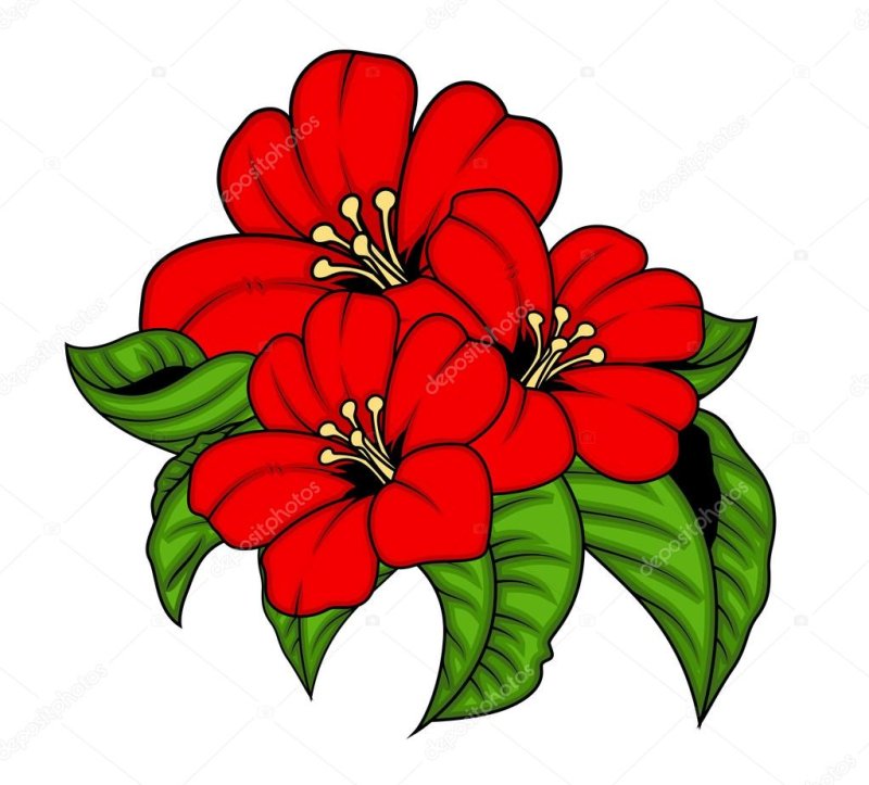 Red Flowers vector