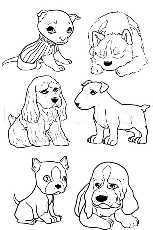 Рисунок щенка для срисовки