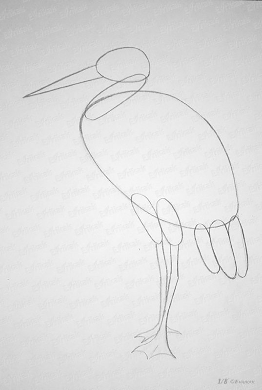 Аист поэтапное рисование