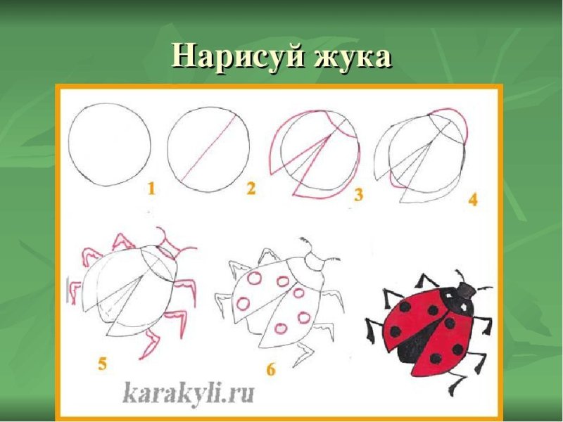 Рисование насекомые пошагово